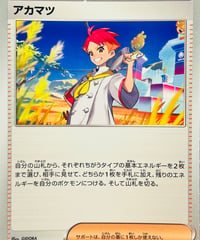 アカマツ　（163/187）【SV8a】