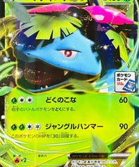 フシギバナEX　PROMO（233/XY-P）【XY-P】