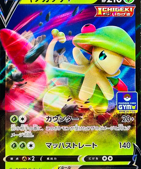 CATEGORY 【S-P】プロモカード | TCG SHOP Bluve
