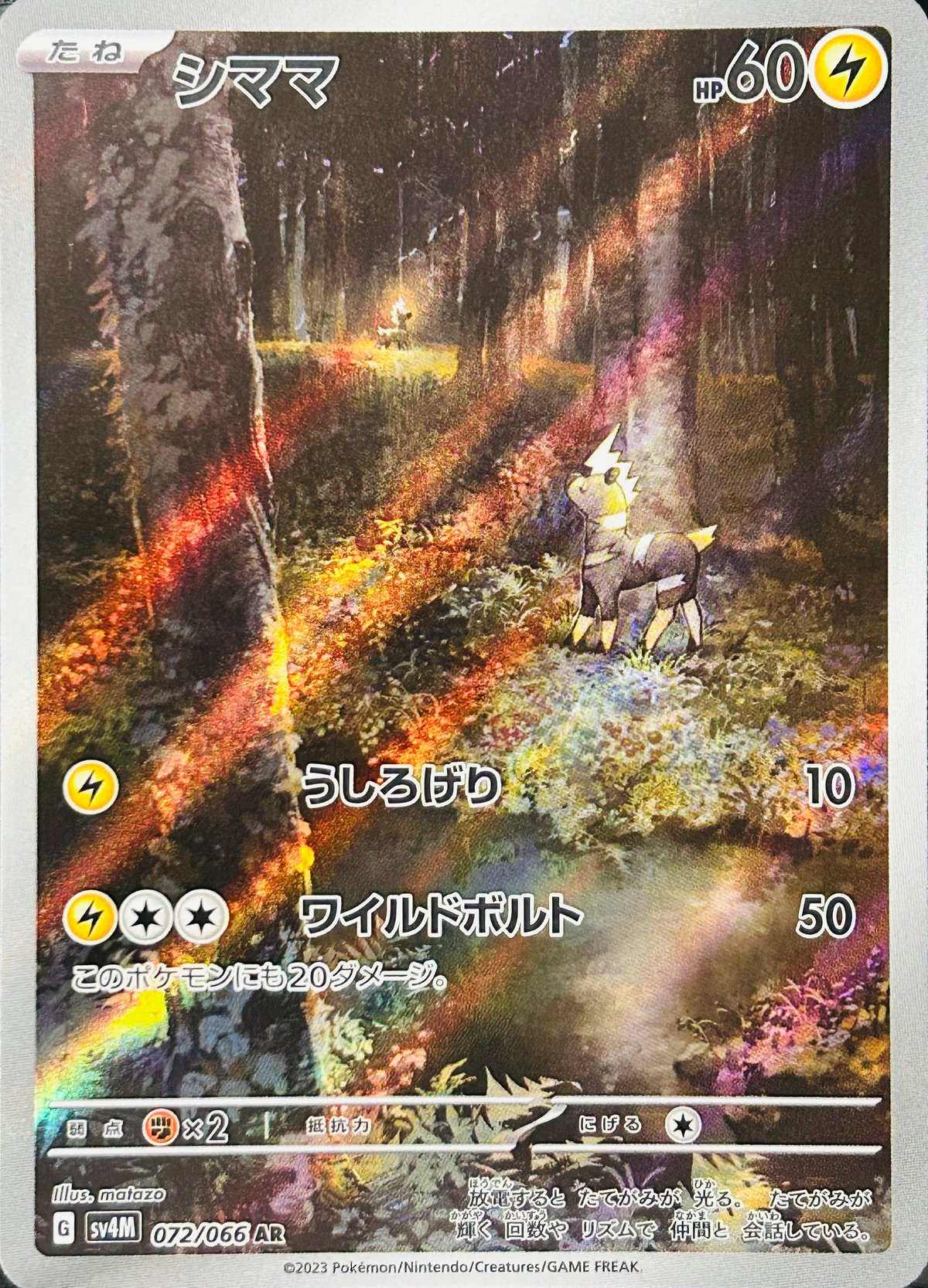 ししママ シママ AR（072/066）［SV4M］ | TCG SHOP Bluve