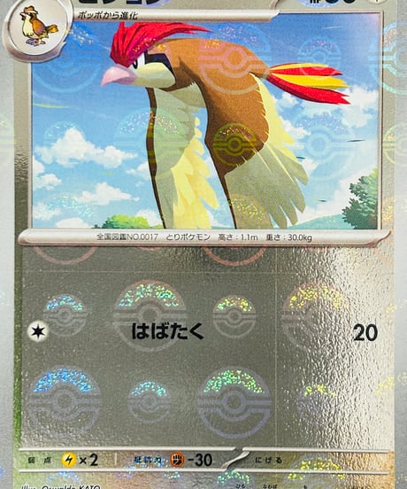 ピジョン　C（017/165）［SV2a］