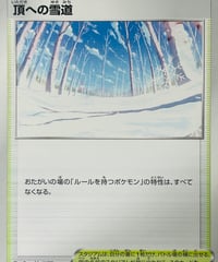 頂への雪道　（165/172）［S12a］