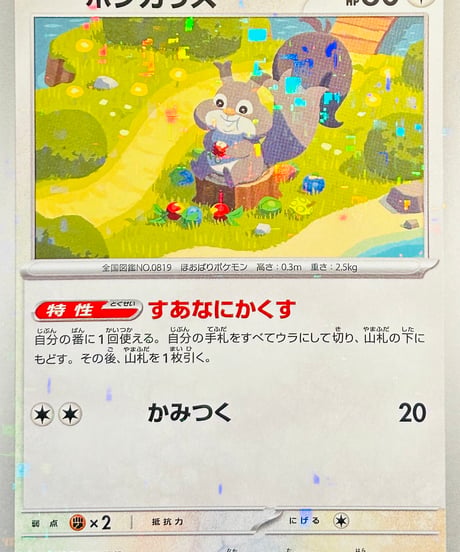 ホシガリス　（148/190）【SV4a】