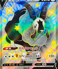 -傷あり特価-バイウールーV　SSR（325/190）【S4a】