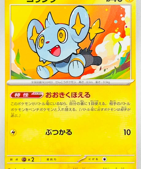 CATEGORY 【SVC】スターターセットex ピカチュウex＆パーモット