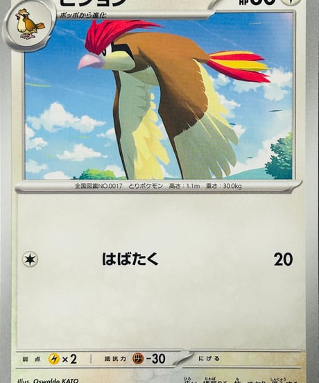 ピジョン　C（017/165）［SV2a］