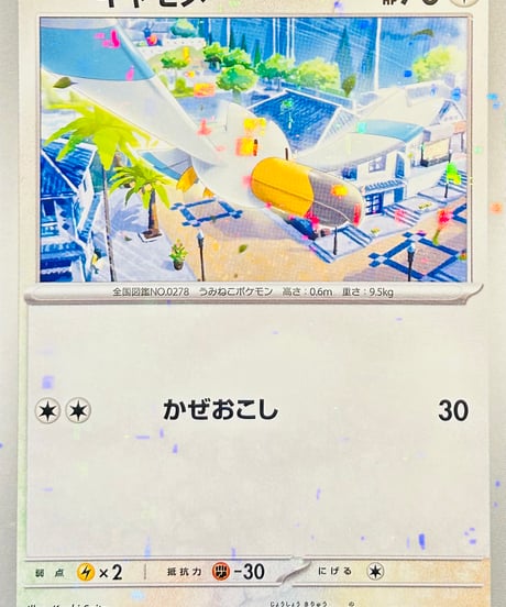 キャモメ　（146/190）【SV4a】