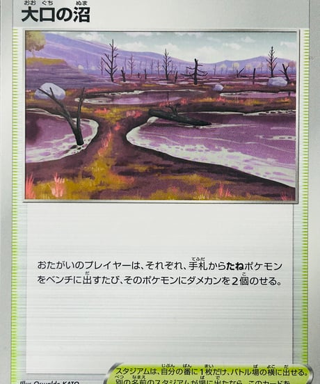大口の沼　（166/172）［S12a］