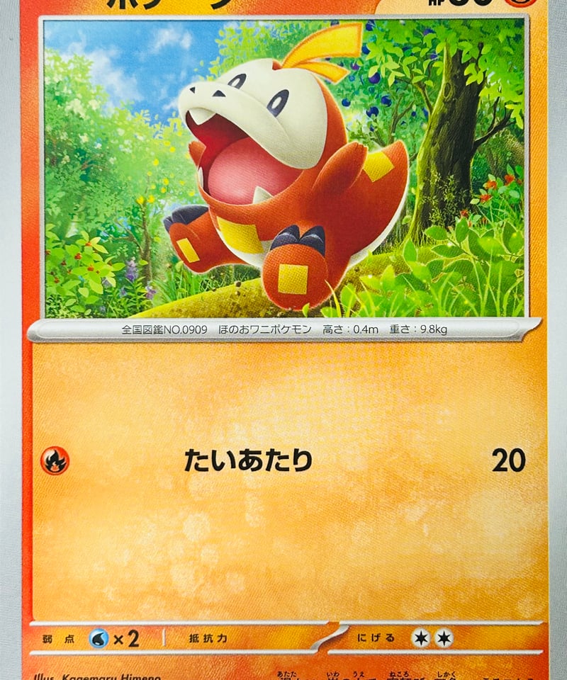 ホゲータ C（017/073）［SV1a］ | TCG SHOP Bluve