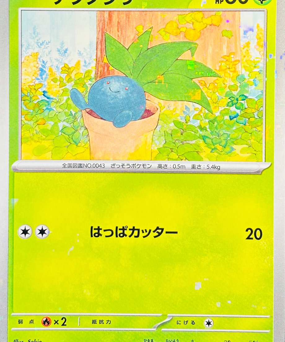 65db470856e39c0001735e33