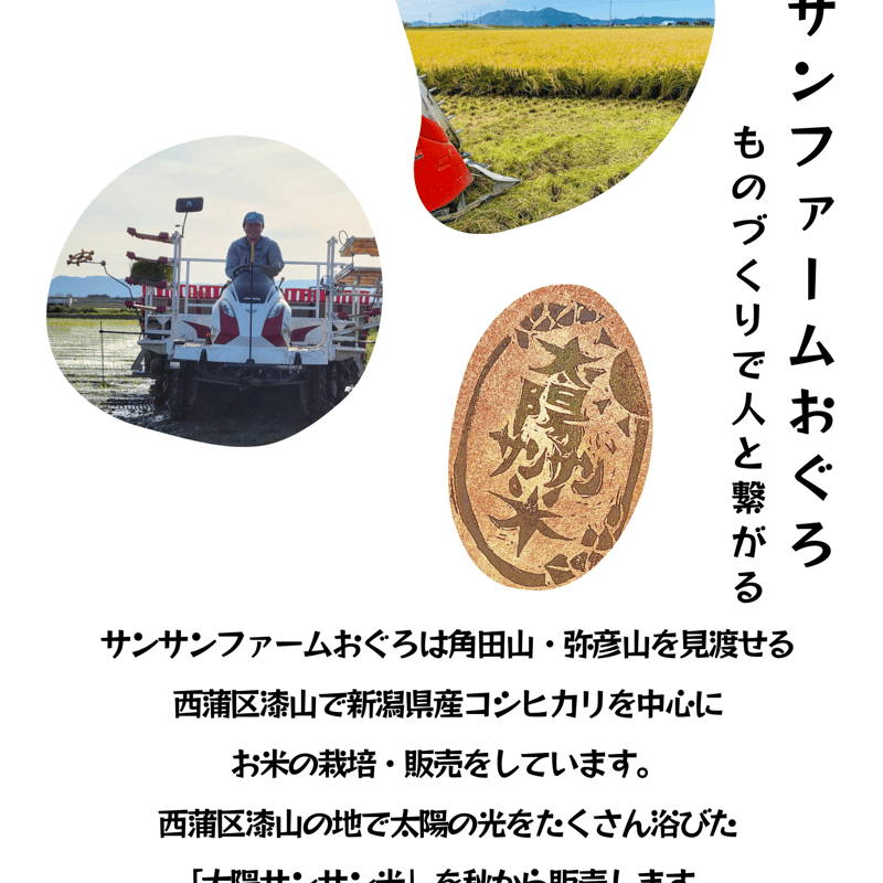 令和8年産新米！新潟県産コシヒカリ「太陽サンサン米」 玄米30kg