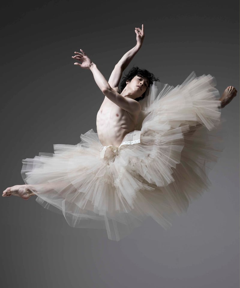 BALLERINA パンフレット バレエ・ダンス用品のミルバ / 新書館 DANCE MAGAZINE 2026/2