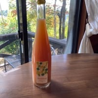 100本限定販売　ぶどう〔シャルドネ100％〕ジュース