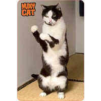 Muddy Catマグネット　てんてん