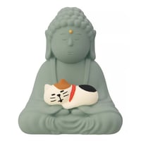 concombre 子猫と大仏