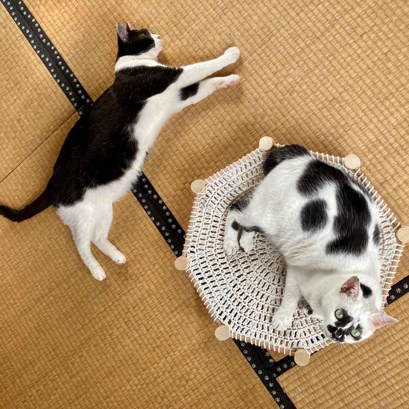 Little 4cats_w製 にゃんころりん ※他商品との同梱不可 | 泥猫倶楽部 Little 4cats_w製 にゃんころりん ※他商品との同梱不可 | 泥猫倶楽部