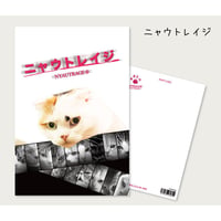 とことこサーカス「ニャウトレイジ」ポストカード