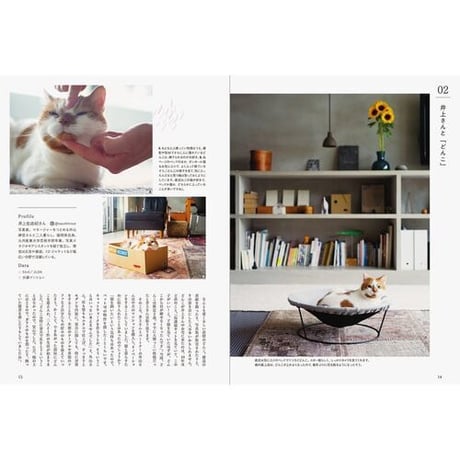 猫のいる暮らし、猫のいる部屋