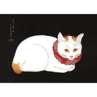ポストカード／高橋松亭「赤い首の布をつけた猫」