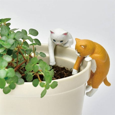 じゃれ猫水草鉢 白/ハチワレ