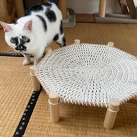 Little 4cats_w製  にゃんころりん ※他商品との同梱不可