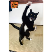 Muddy Catマグネット　タビ子