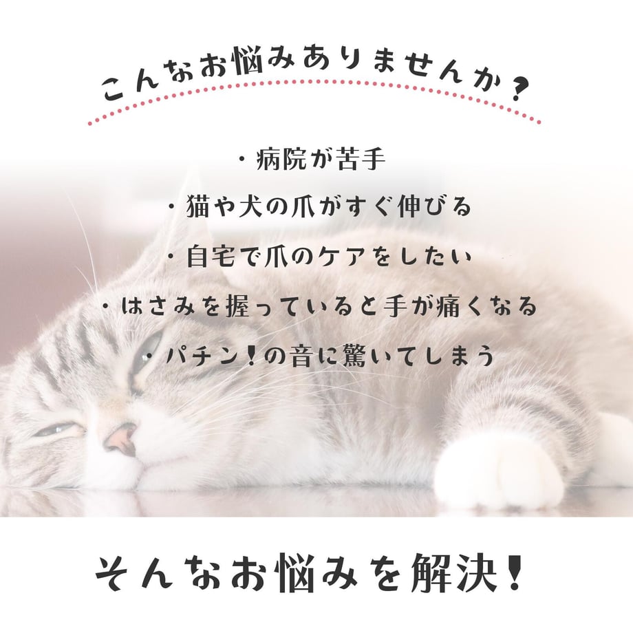 6725b8334c3d4e3d7afcbd7c