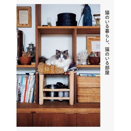 猫のいる暮らし、猫のいる部屋