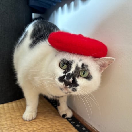 ミニサイズベレー帽　ワンちゃん・猫ちゃん用