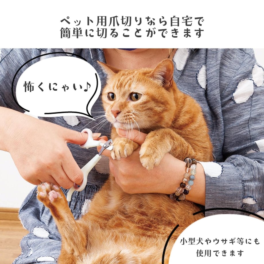 6725b8334c3d4e3d7afcbd7c
