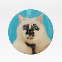 ミチル証明写真 ミラー
