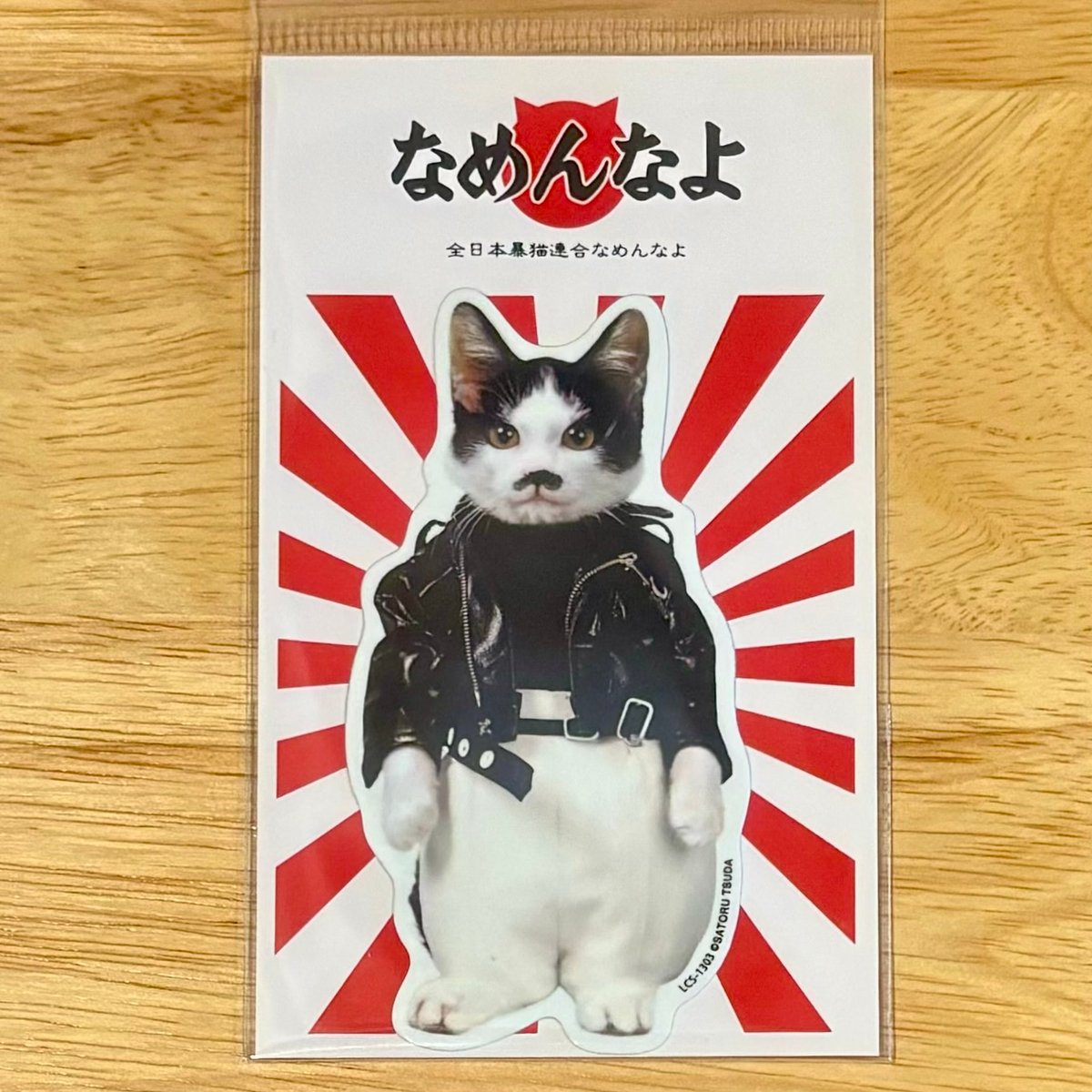 鏡 なめ猫 ～なめんなよ～ DON'T PELORIAN 壁掛け