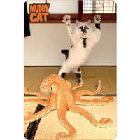 Muddy Catマグネット　ミチル立ち