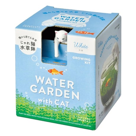 じゃれ猫水草鉢 白/ハチワレ