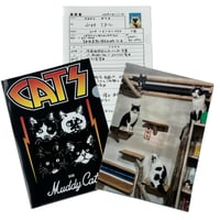 Muddy Cat クリアファイル3枚セット