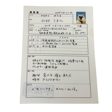 Muddy Cat クリアファイル3枚セット