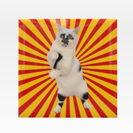 CATEGORY Muddy Cat | 泥猫倶楽部