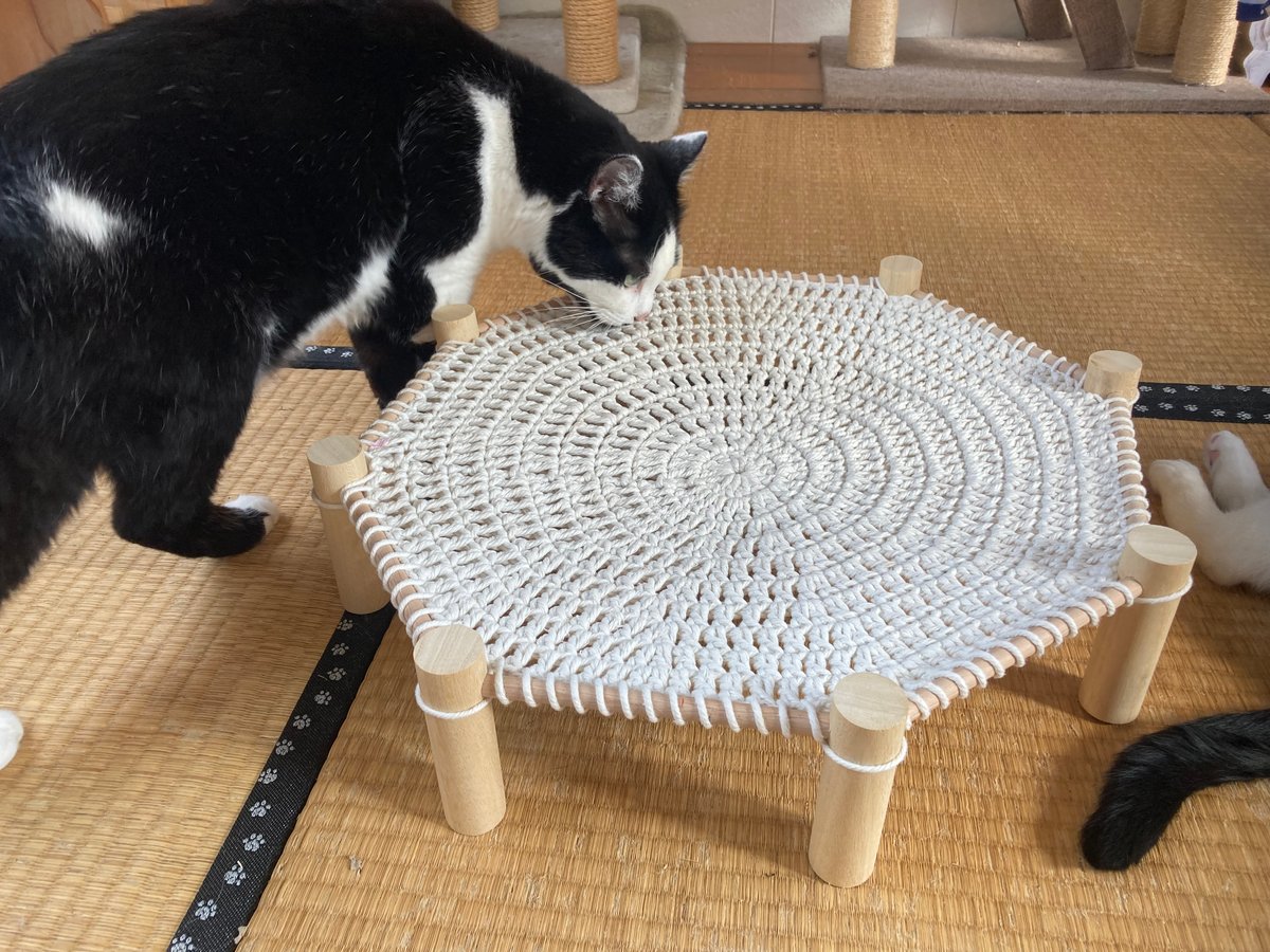 Little 4cats_w製 にゃんころりん ※他商品との同梱不可 | 泥猫倶楽部