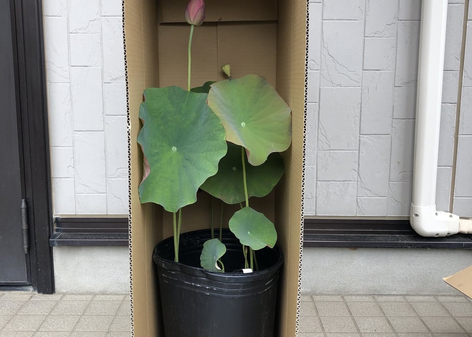 667f941c20bc0f0fbdd9b0c2