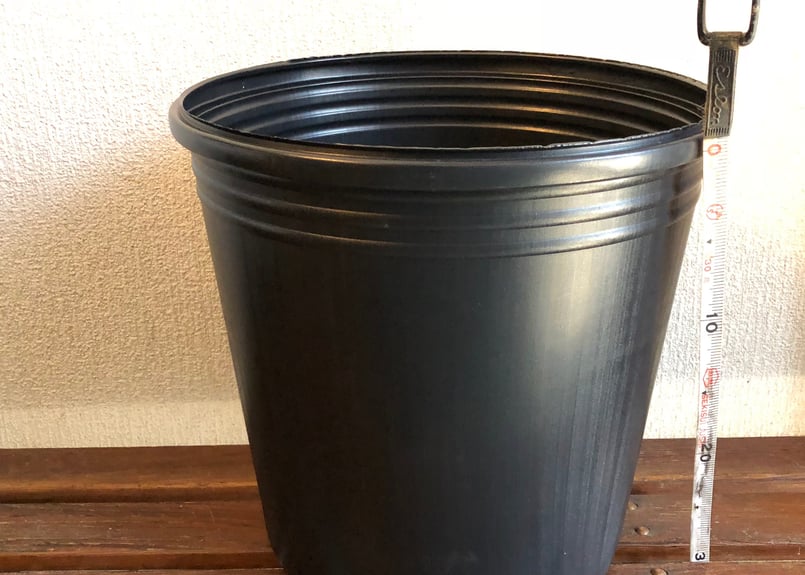 蓮専用の鉢(10号サイズ) | やまもと農園