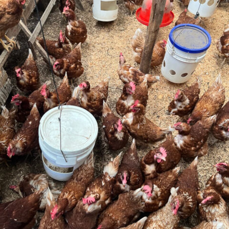 6580dc636d15120e841c67f0