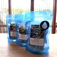 【店頭受取り用】水出しコーヒー〔2PK〕入り