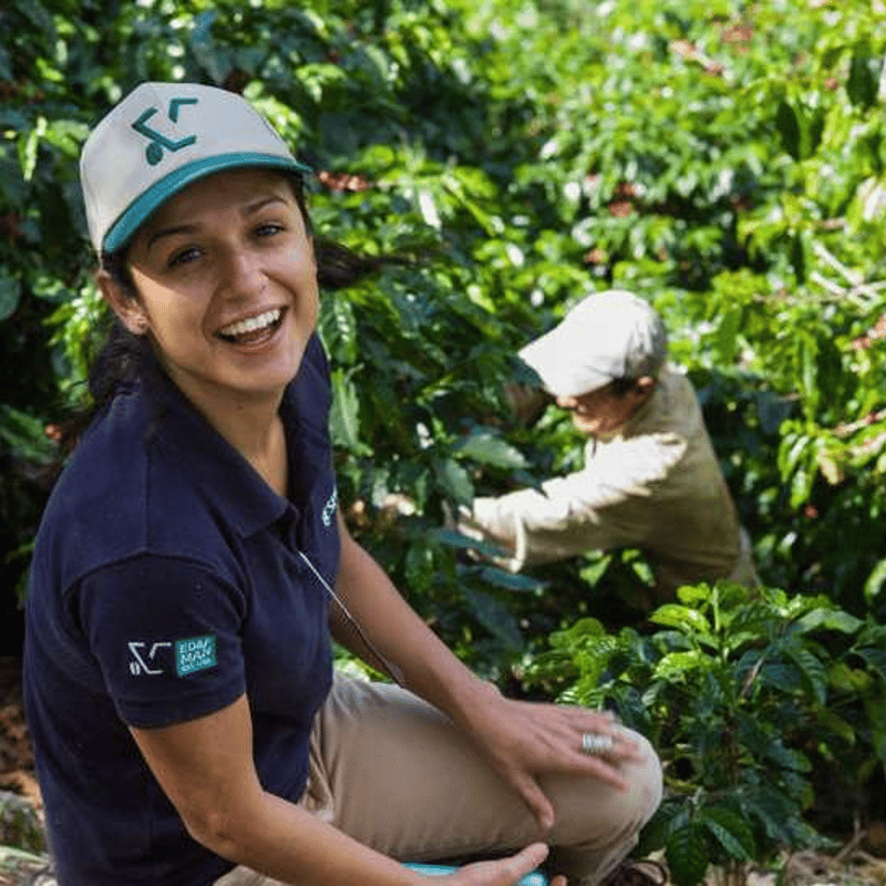 ペルー／アンデスブルー〔豆のまま・粉にする〕 | Sunfilled Coffee Shop