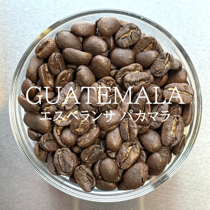 グアテマラ／エスペランサ パカマラ〔豆のまま・粉にする