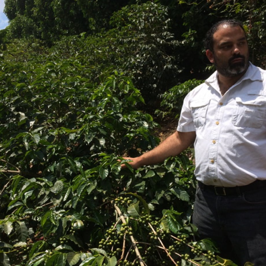 665ebf16f0358e0506b59230