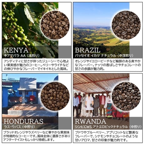 【☆店頭受取り専用】８種類のドリップバッグセット［6月］〔12g×8袋〕