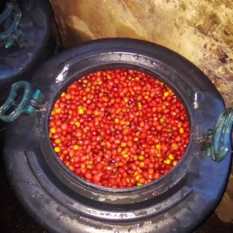 【店頭受取り用】ルワンダ／シンビCWS アナエロビックナチュラル〔豆のまま・粉にする〕