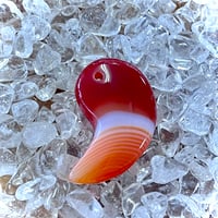 枯草菌＊KINTARO＊ | RH.powerstone