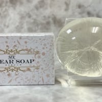 枯草菌＊KINTARO＊ | RH.powerstone