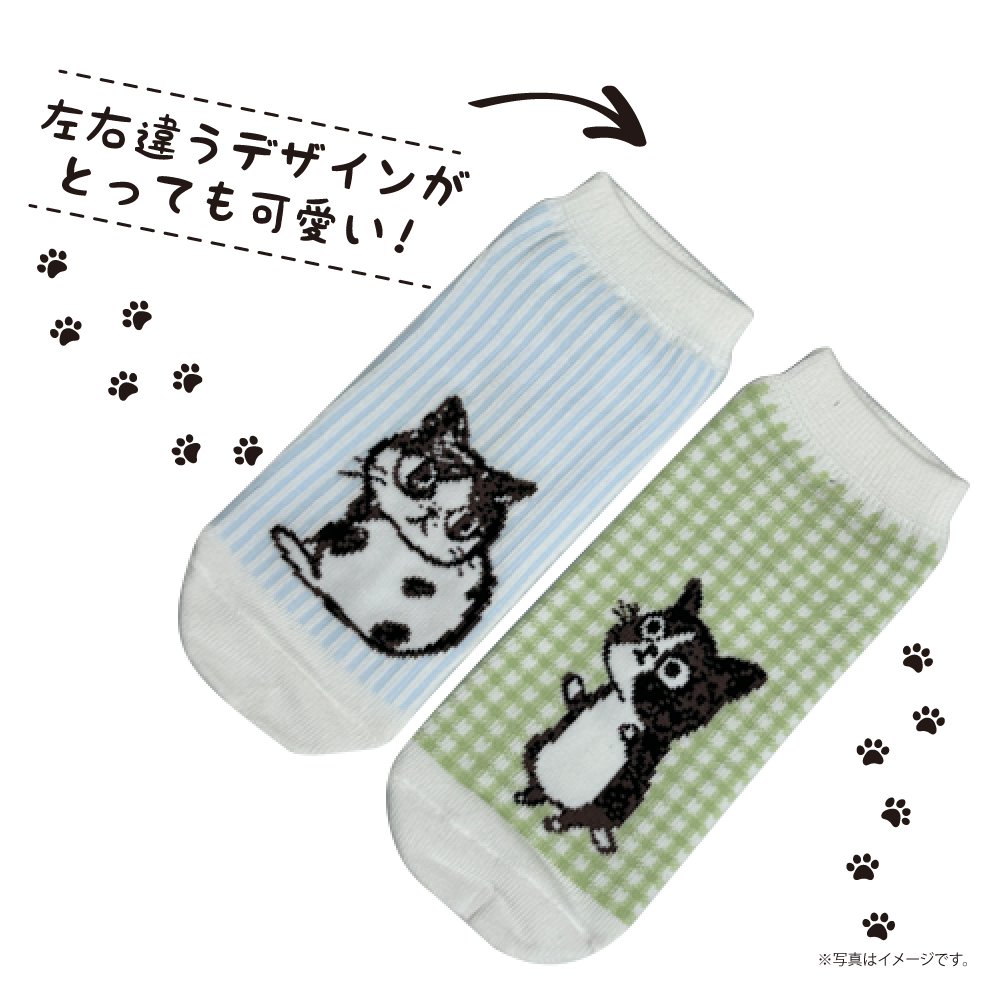 靴 shinzi katoh Shinzi Katoh Design シンジカトウ】レディースソックス（靴下